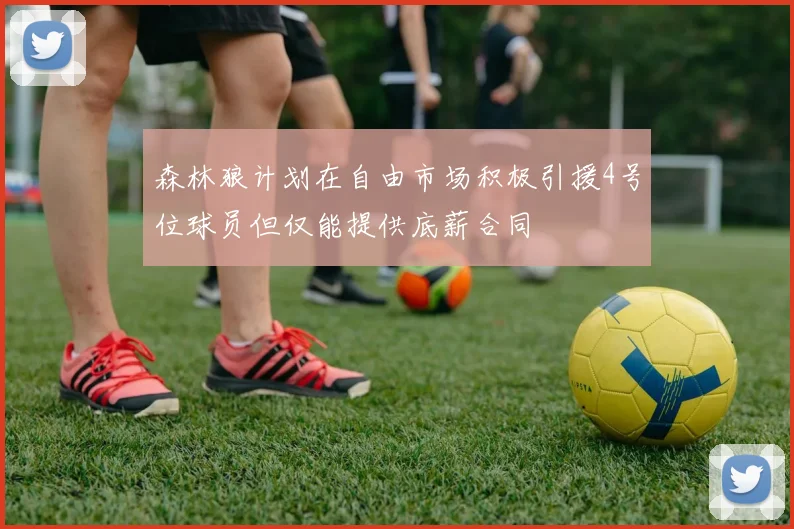 森林狼计划在自由市场积极引援4号位球员但仅能提供底薪合同