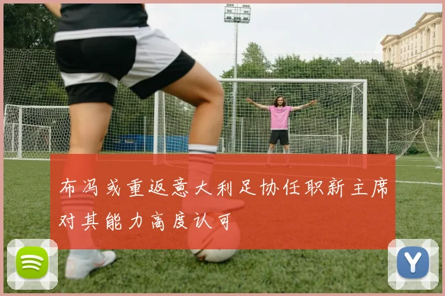 布冯或重返意大利足协任职新主席对其能力高度认可